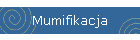 Mumifikacja